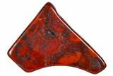 Polished Stromatolite (Collenia) - Minnesota #104413-1